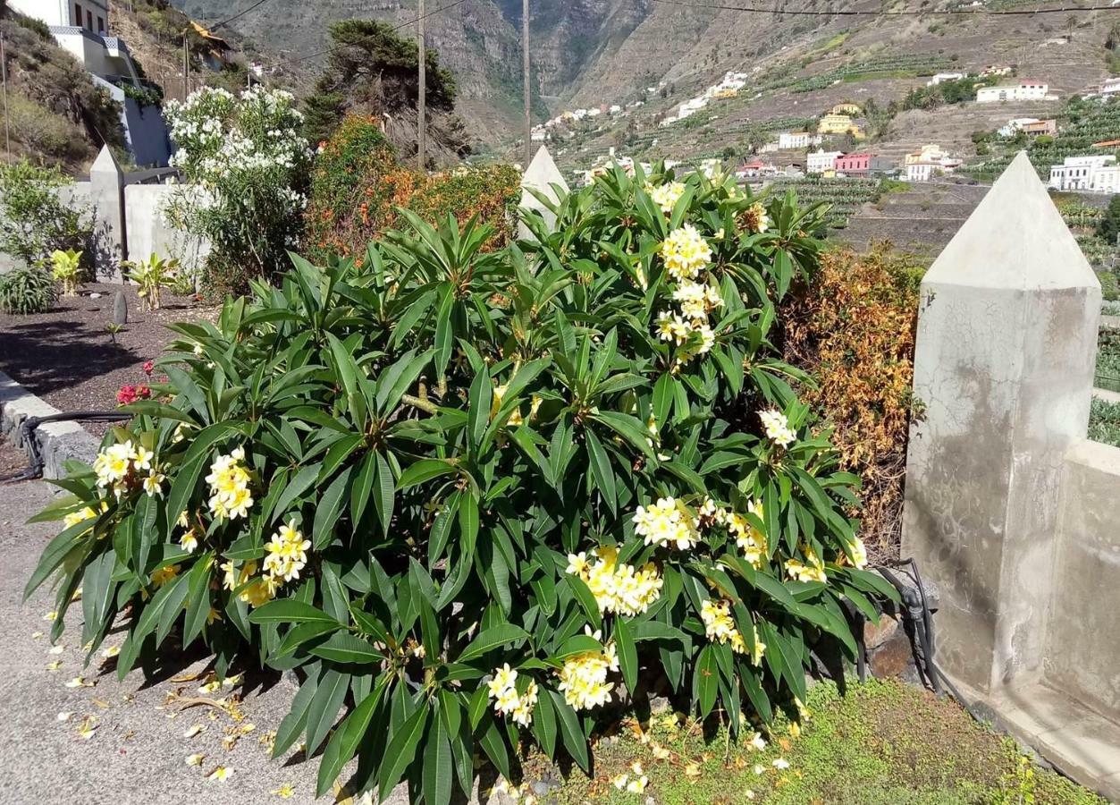 Gomera Garden. Vista Mar Altozano Эрмигва Экстерьер фото